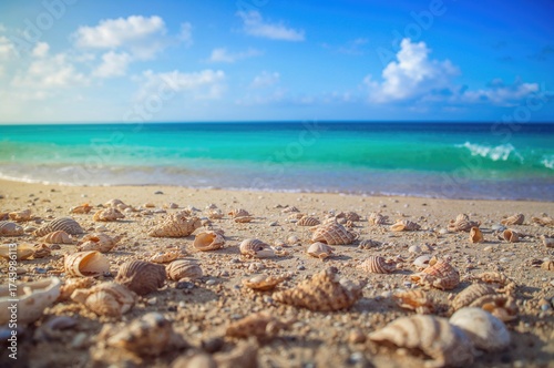 Crustaceans resting along t...