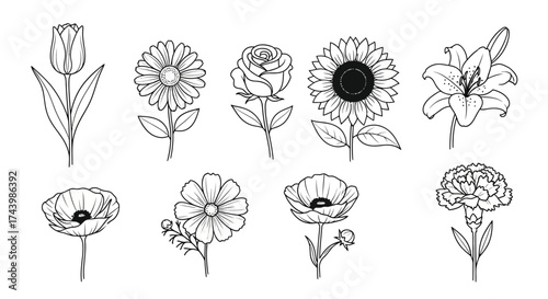 Collection of hand-drawn floral line art elements featuring various blooming flowers and leaves vector