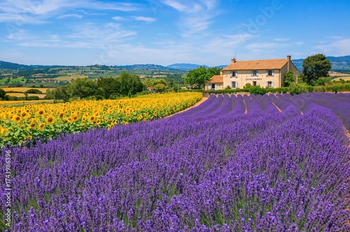 Breathtaking countryside sc...