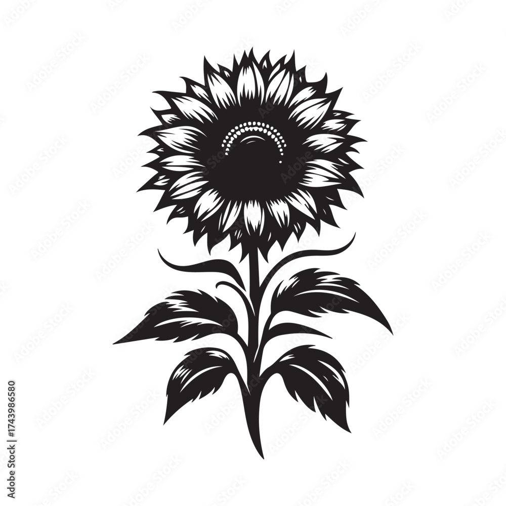 Fototapeta premium sun flower