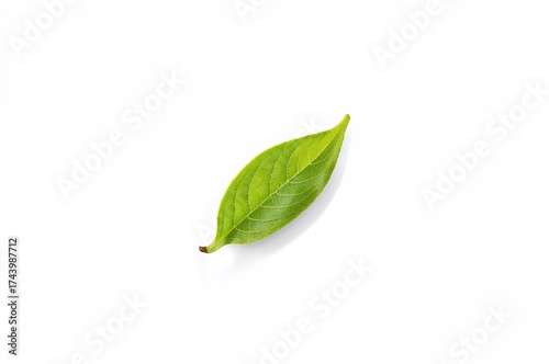 Fresh green tea leaves isol...