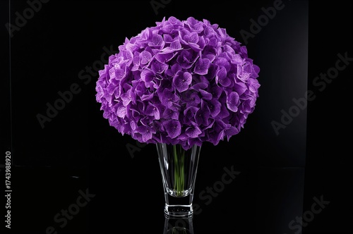 Beautiful violet hydrangea ...