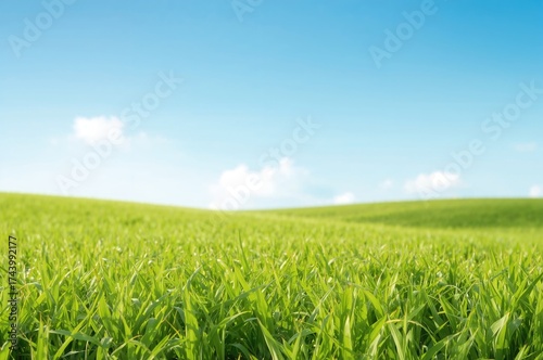 Summer scene with vibrant g...