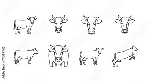 Diverse collection of hand-drawn cow and bull silhouettes and line art styles vector