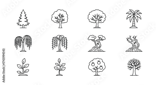 Hand drawn stylized collection of diverse trees for nature themed designs vector