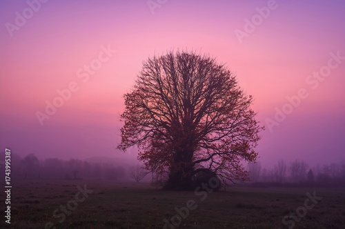 Calm Purple Morning Sky Abo...