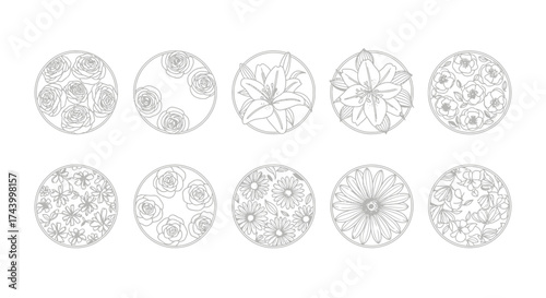 Collection of intricate geometric circular patterns abstract designs stylized botanical elements arrangement vector