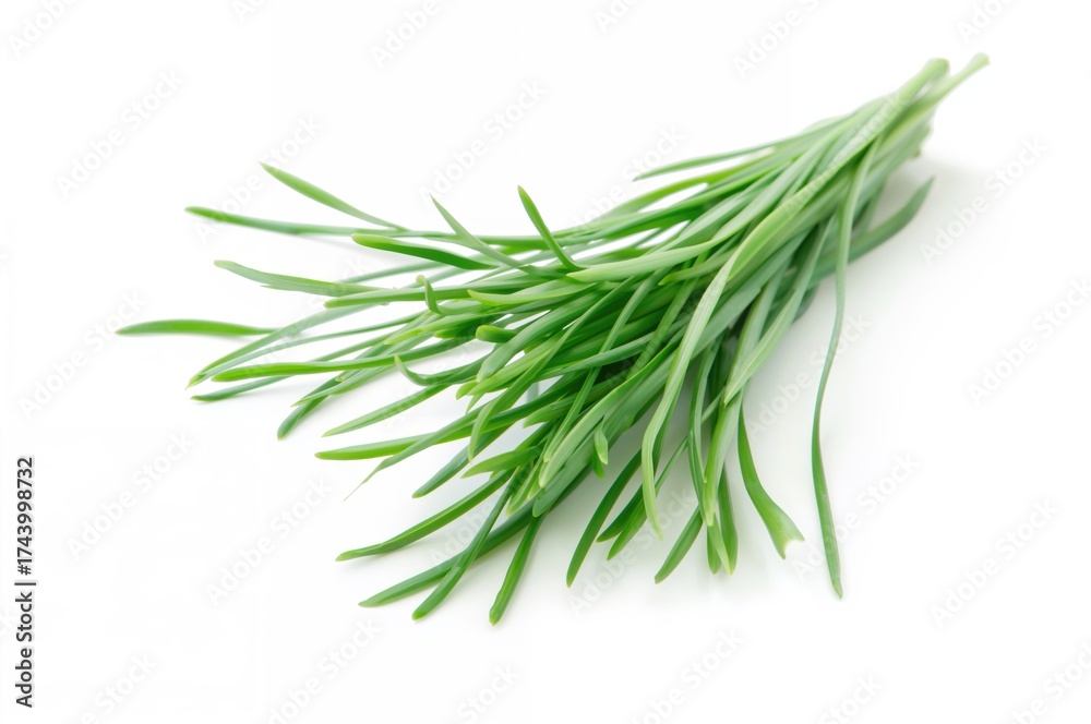 Fototapeta premium Tiny cluster of chives on a plain white backdrop