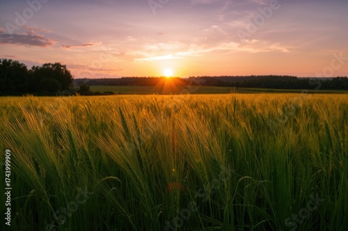 Bright Summer Sun Illuminat...