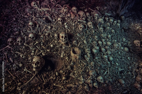 Human skeleton and bones di...