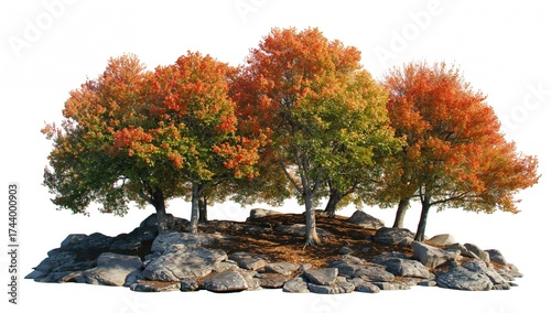 Cluster of trees nestled be...
