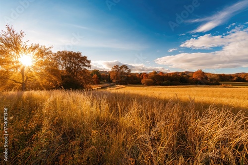 Bright fall meadow. Scenic ...