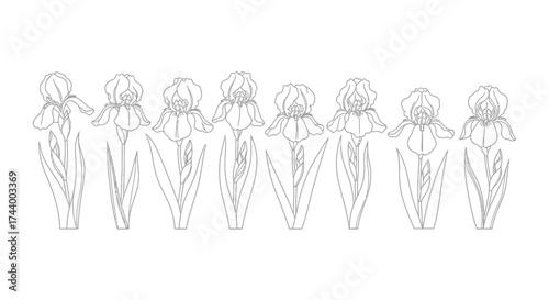 Collection of hand drawn artistic whisk design elements isolated on white vector