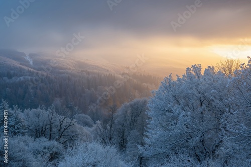Snowfall in a Mountain Village