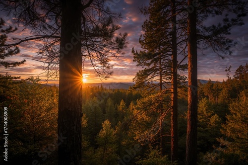 Golden rays filtering throu...