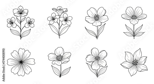 Collection of delicate hand-drawn floral arrangements and single blooms in sketchy style vector