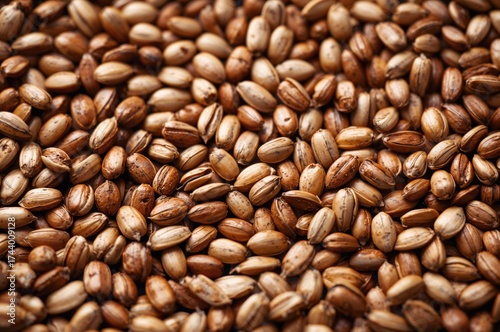 Close-up of sunflower seeds...