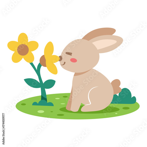 rabbit smell flower