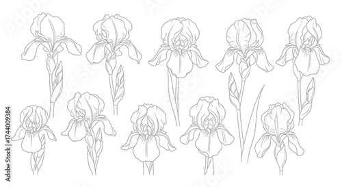 Collection of hand drawn character sketches showing diverse poses and expressions for creative projects vector