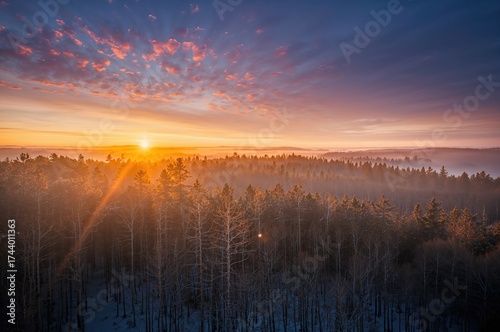Dusk settling above the woodland with mist