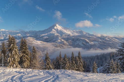 Winter scene of snow-covere...