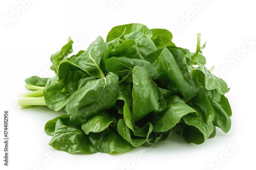 Fresh green spinach leaves ...