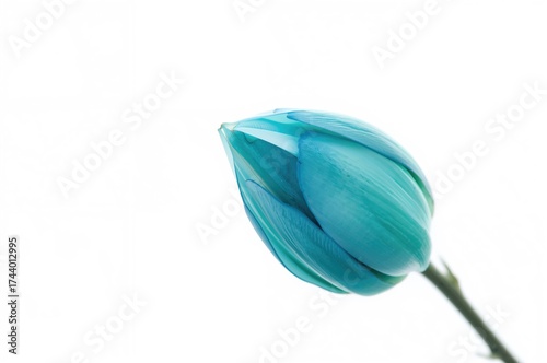 Close-up of a glossy teal b...