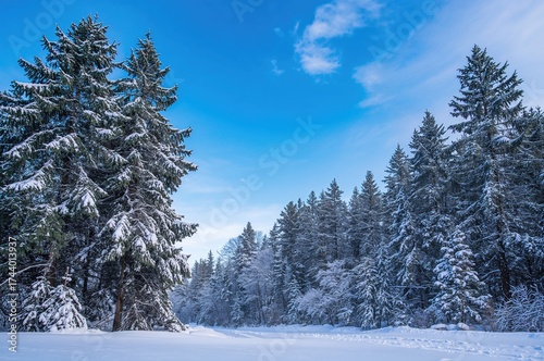 Winter landscape featuring ...