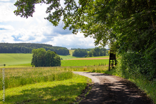 Rural Country Road with Hunting Stand in Upper Austria - Idyllic Summer Landscape with Green Fields and Forest