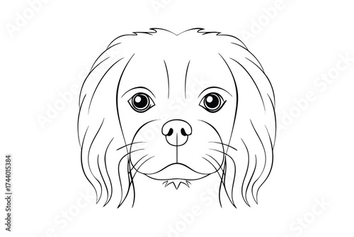 Line drawing a dog face with large eyes long flowing fur animal canine