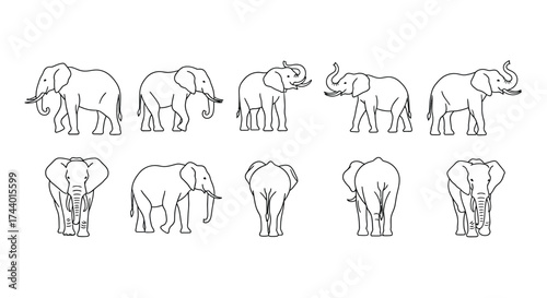 Collection of elephant poses and angles in simple line art style for wildlife projects vector