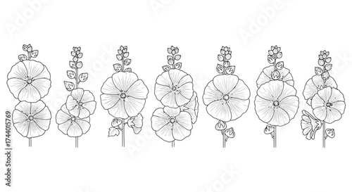 Elegant hand-drawn floral garlands and bouquets for sophisticated decorative design elements vector