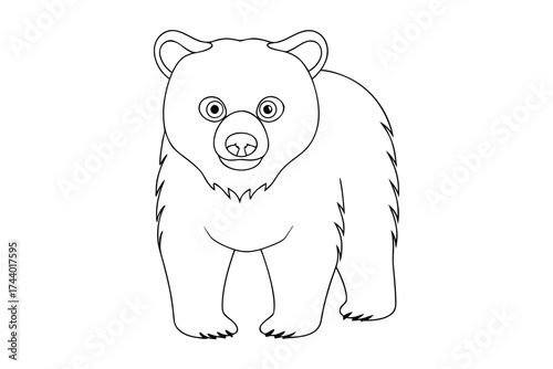 Outline drawing a bear cub standing a animal wildlife