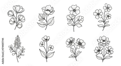 Set of hand drawn floral elements decorative botanical sketches for design projects vector