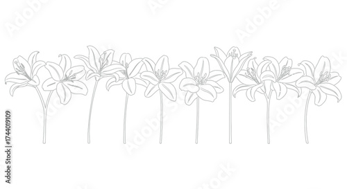 Decorative floral garland line art design with delicate petals and stems for event decorations vector