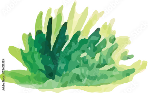 grass watercolor hand drawn. moss vector element design