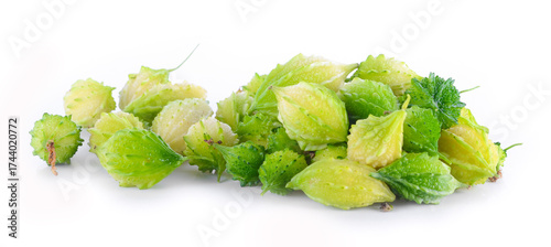 bitter melon, Bitter gourd on white background.