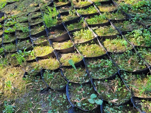 Geogrid for soil retention on slopes. Installation process of geosynthetics in industry and mining