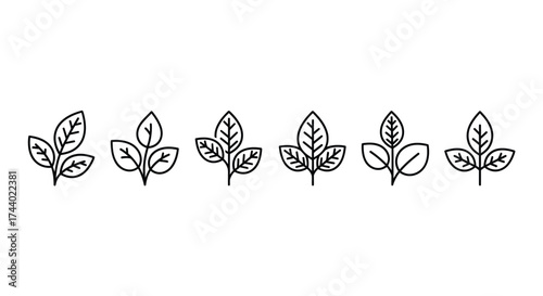 Collection of delicate hand drawn leaf sprigs for nature themed designs and organic branding vector