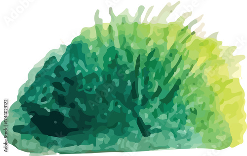 watercolor hand drawn moss. vector