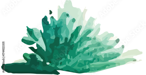 watercolor illustration of moss. Hand drawn nature design elements