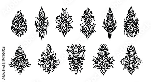 Collection of ornamental flourishes and decorative embellishments for design projects vector