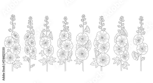 Detailed outline drawing of seven elegant foxglove flowers in a row botanical study vector