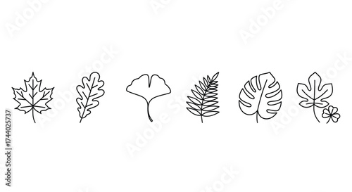 Set of six delicate hand-drawn outline botanical leaf silhouettes for nature design vector