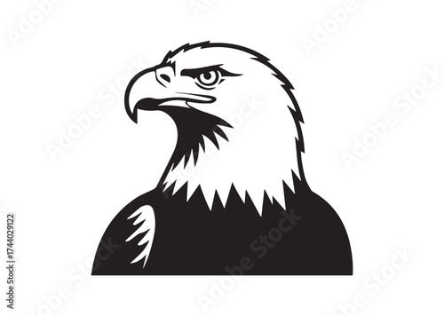 Bald Eagle Icon, Bald Eagle Solid Vector, Bald Eagle Design