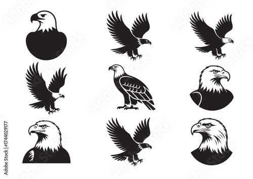 Bald Eagle Icon, Bald Eagle Solid Vector, Bald Eagle Design