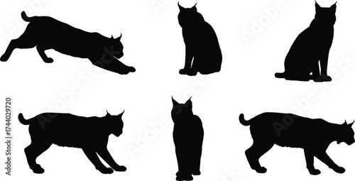 Black cat silhouettes vector set, sitting crouching walking stretching upright feline poses, domestic pet animal artwork, minimalist design, cad drawing flat vector illustration