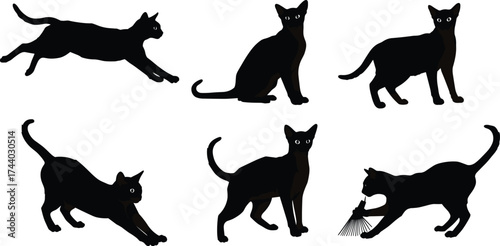 Black cat silhouette vector, leaping sitting standing stretching crouching poses, cartoon feline outline illustration, pet animal posture clipart, domestic cat breed design element