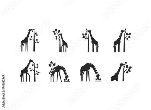 Giraffe Silhouette Collection Feeding and Standing.