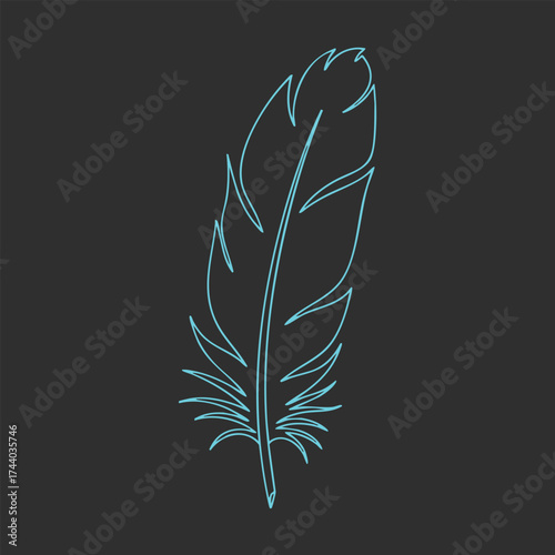 Elegant neon outline of a detailed feather with intricate barbs and central shaft on a dark
